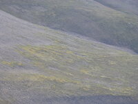 P1000127.JPG