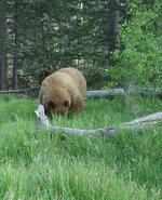 IMG_0479 (2).JPG