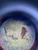 IMG_0767.JPG