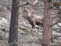 0853F3B8-54CC-4D48-8E9E-252BC6C1BA6E.jpeg 0853F3B8-54CC-4D48-8E9E-252BC6C1BA6E.jpeg