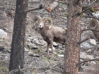 A1553D70-F55B-4D72-A4F7-DE2DF07AAC0A.jpeg A1553D70-F55B-4D72-A4F7-DE2DF07AAC0A.jpeg