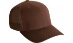 1350678743-6511brown.jpg