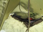 IMG_0407.jpg