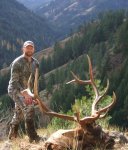 Watershed Bull 2009.jpg