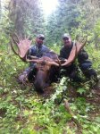 Moose.jpg