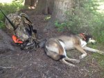 timberlinereview5.jpg timberlinereview5.jpg