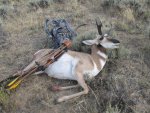 Hunt Antelope 2013 002.jpg