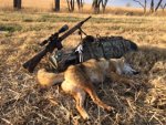yote2 12 17 17.jpg