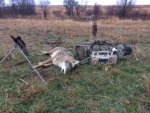 yote 12 17 17.jpg