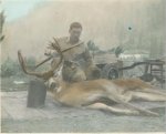 1950%27s Blacktail (Jack Edwards).jpg