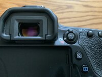 4090F869-E29B-4CA3-86DA-51814061304C.jpeg