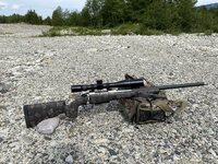 tikka custom.jpg
