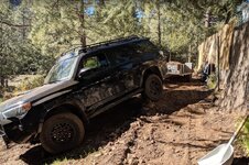 4Runner.JPG