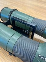 IMG_5344.jpg