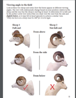 1658378003249.png 1658378003249.png