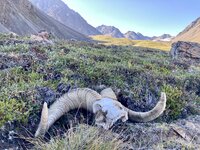 IMG-3143.jpg IMG-3143.jpg