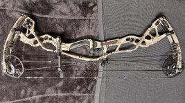 bow left side.jpeg