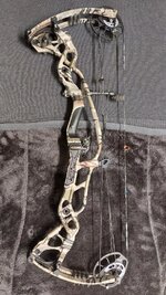 bow right side.jpeg