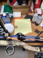 IMG_1037.jpg