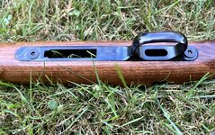 IMG_0355.jpg IMG_0355.jpg