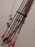 20220729_083249.jpg