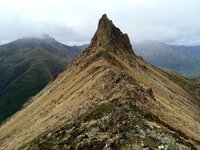 IMG_0634 copy 2.jpg