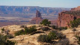 IMG_2275satr.JPG