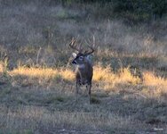 5-IMG_0095.JPG
