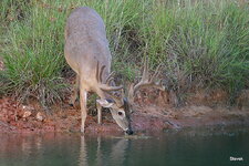 01-IMG_5531.JPG