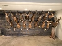 IMG_3926.jpg