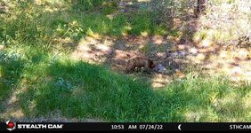 small bear pond.jpg