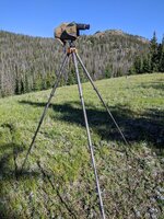 PXL_20220717_143752742.jpg
