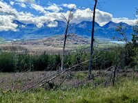 IMG_6161 3.jpg