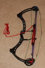Synunm-and-Moxie-10.jpg