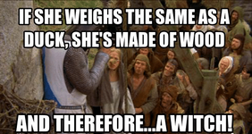 fsheweighs-the-sameasa-duck-shes-made-of-wood-and-therefore-a-53045445~3.png
