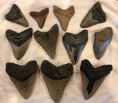 teeth 1.jpg