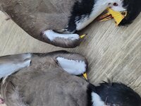 20220814_170616.jpg 20220814_170616.jpg