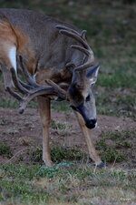 04-IMG_358322.JPG