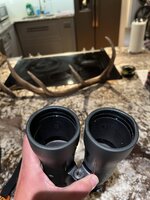 IMG_0518.jpg