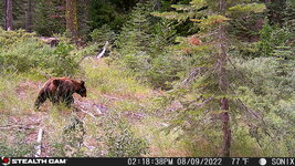 IMG_1751.JPG