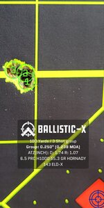 Ballistic-X-Export-2022-08-18 16_04_50.665210.jpg