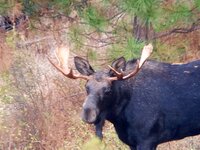 20171001_152511.jpg