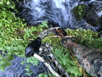 1AB4A1DD-D6D9-4A26-9502-758D933FC0A6.jpeg 1AB4A1DD-D6D9-4A26-9502-758D933FC0A6.jpeg