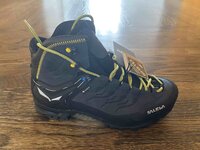 salewa rapace gtx forum