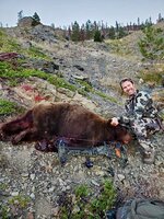 Bear.jpeg