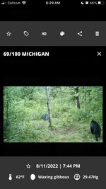 4AA54BF5-6E59-4787-AD67-63C5362D78CB.jpeg