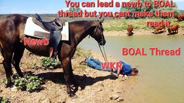 Lead-a-Horse-to-Water.jpg