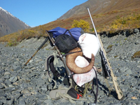 1661560708036.png 1661560708036.png