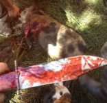 2015-03-30 10.51.01.png 2015-03-30 10.51.01.png