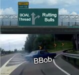 BOAL Rutting Bulls BBob.JPG